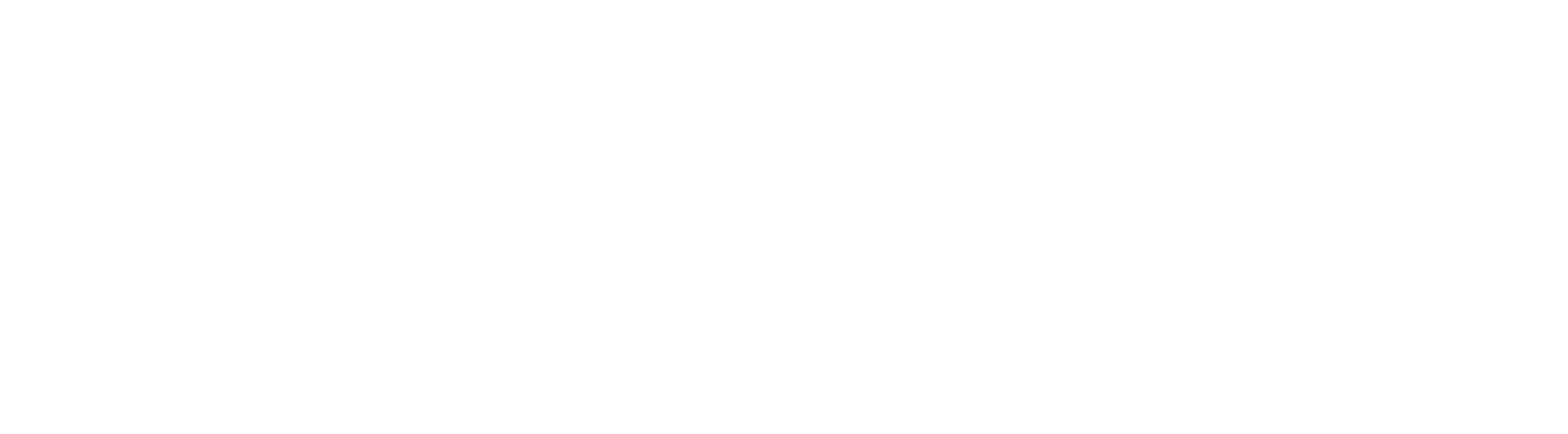 Wiseword Kosova